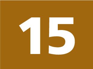 15