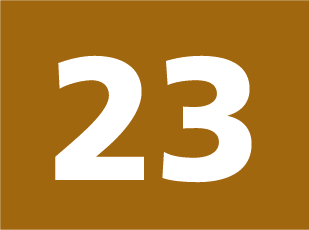 23